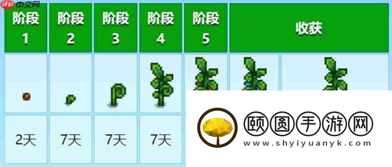 古代种子获取方法详解