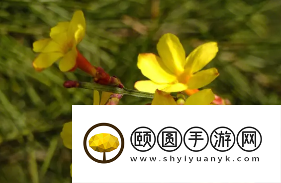 《支付宝》蚂蚁庄园2023年3月25日每日一题答案