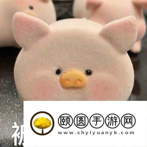 《抖音》什么都xx只会害了你梗的意思介绍