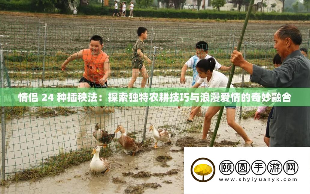 情侣 24 种插秧法