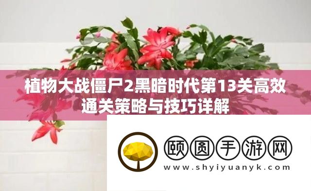 植物大战僵尸2阴郁时期第13关高效通关技巧与技能详细解答
