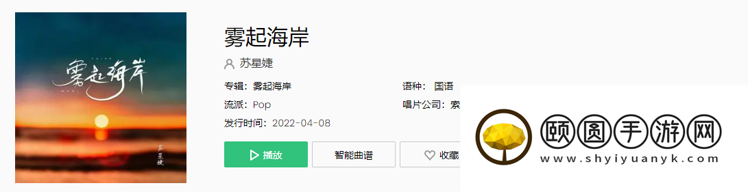 《抖音》雾起海岸歌曲介绍