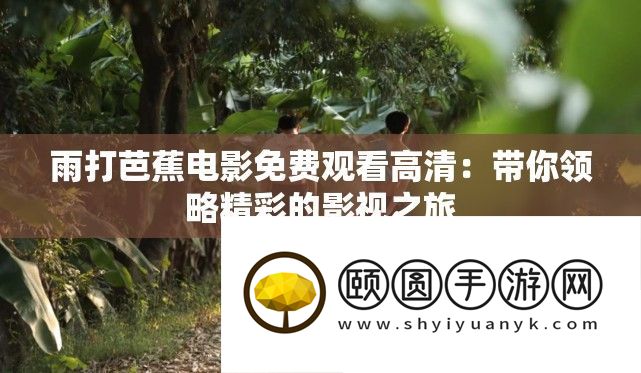 雨打芭蕉片子收费旁观高清