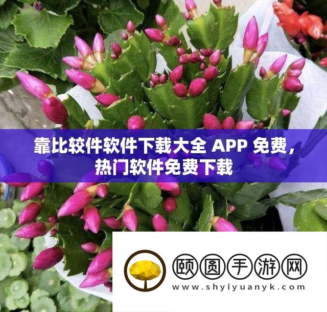 靠比力件软件下载大全 APP 收费