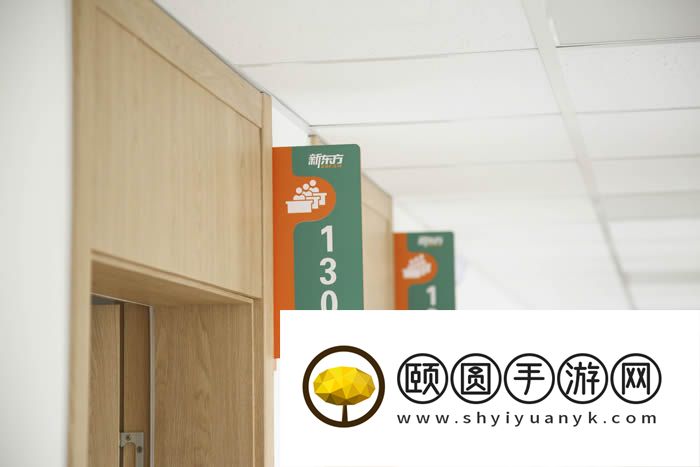 合肥新东方高考学校艺术生文化课要多少学费 2026费用标准