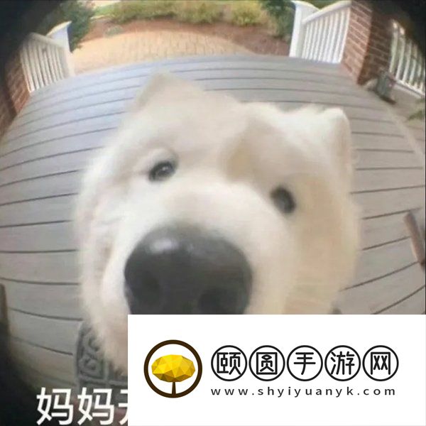 《抖音》这次换我来为你付出梗的意思介绍