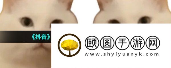 《抖音》happyhappyhappy猫梗的意思介绍