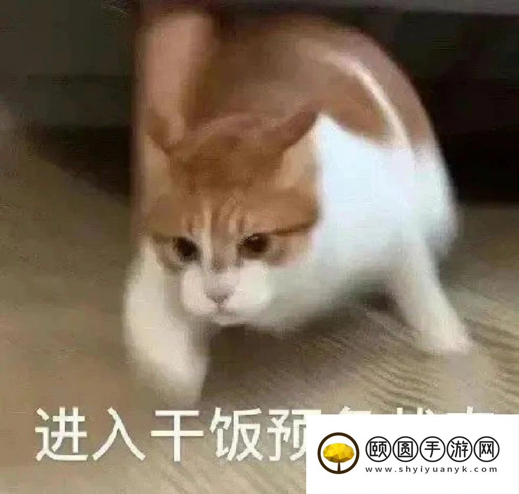 《抖音》happyhappyhappy猫梗的意思介绍