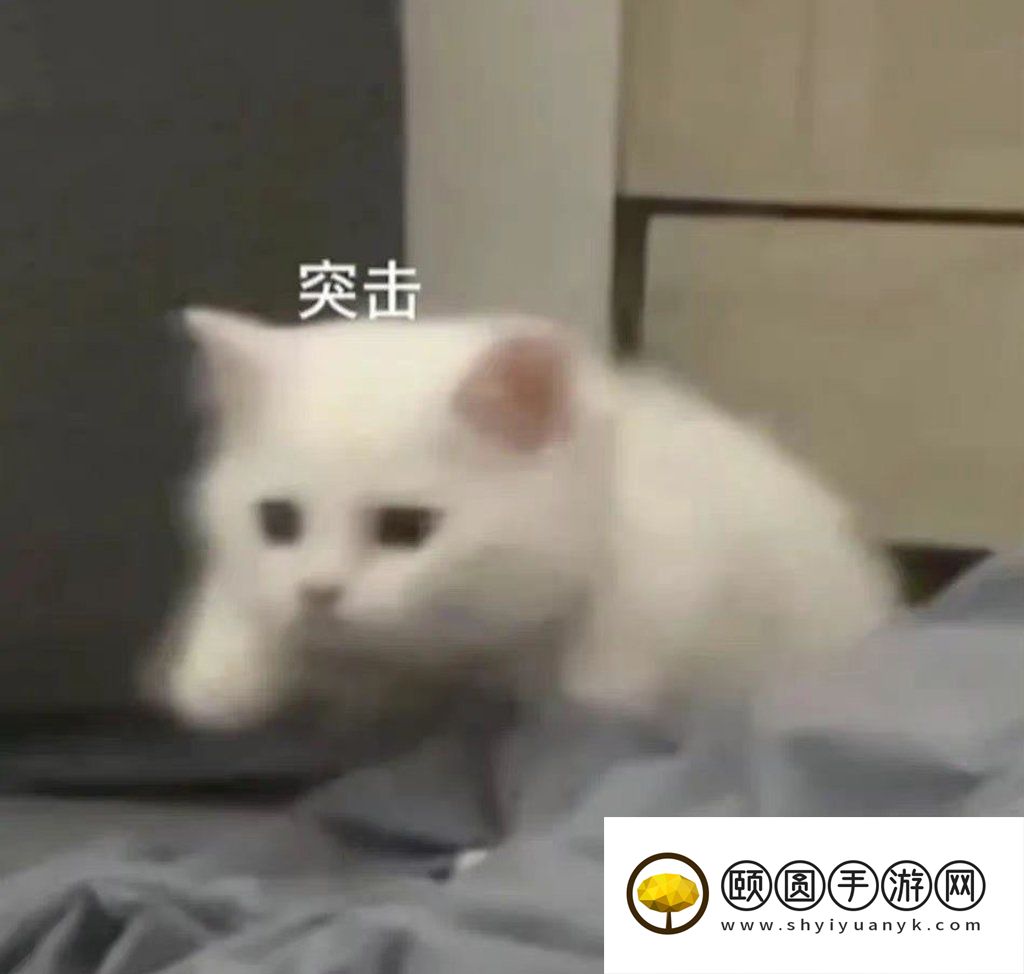 《抖音》happyhappyhappy猫梗的意思介绍