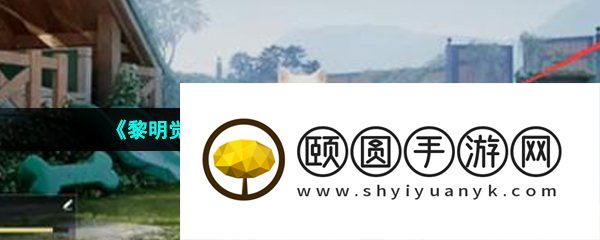 《黎明觉醒生机》带猫猫出门方法介绍