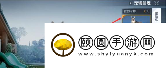 《黎明觉醒生机》带猫猫出门方法介绍