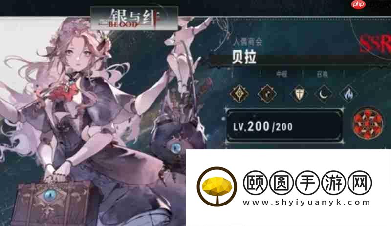 最强阵容组合推荐