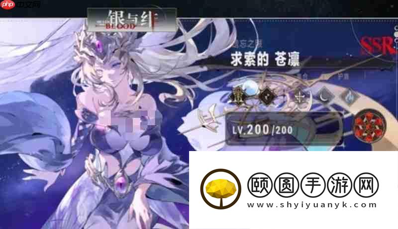 最强阵容组合推荐