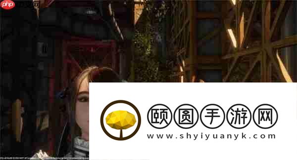 剑星猫咪摄影展全收集