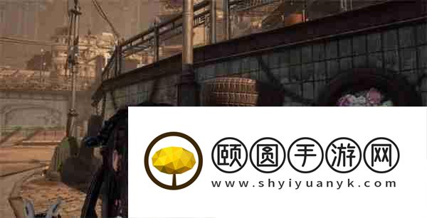 剑星猫咪摄影展全收集