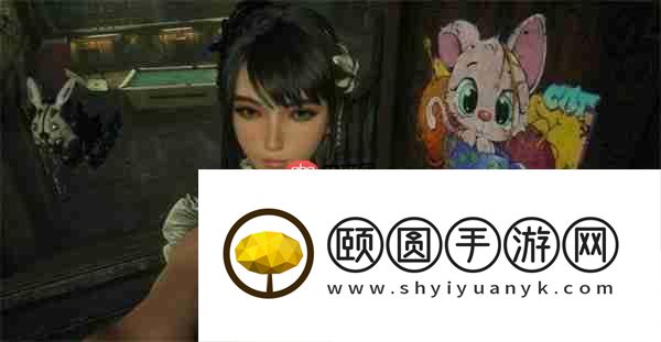剑星猫咪摄影展全收集