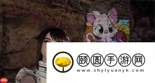 剑星猫咪摄影展全收集