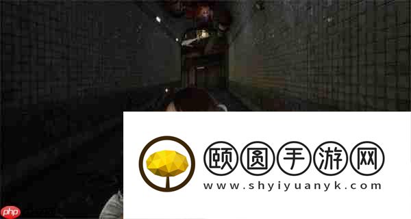 剑星猫咪摄影展全收集