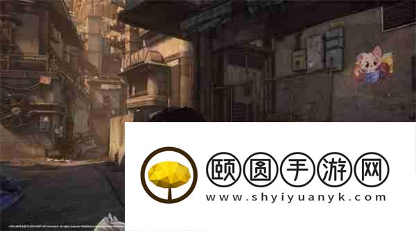 剑星猫咪摄影展全收集