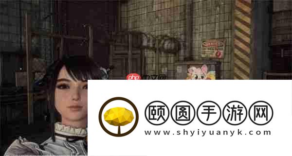 剑星猫咪摄影展全收集