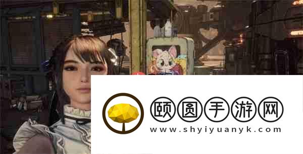 剑星猫咪摄影展全收集