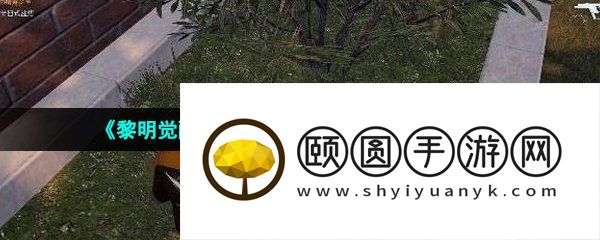 《黎明觉醒生机》许愿池藏宝图位置介绍