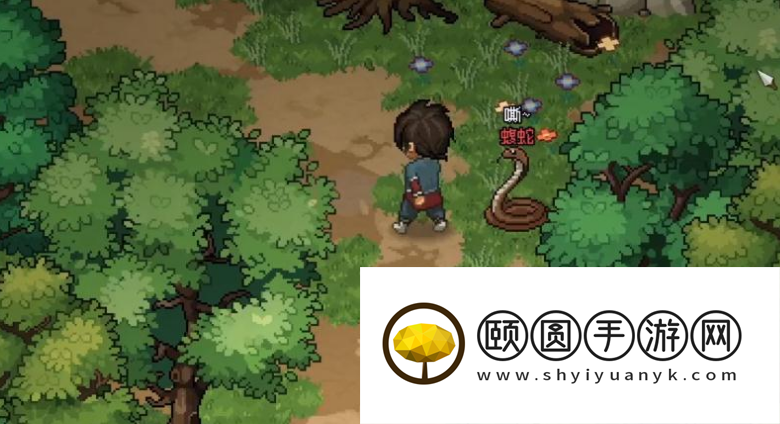 《大侠立志传》迷踪林碎银位置介绍