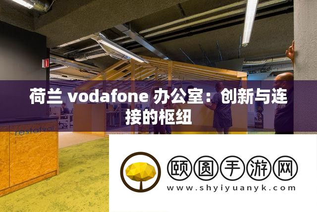 荷兰 vodafone 办公室