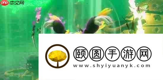 咚奇刚