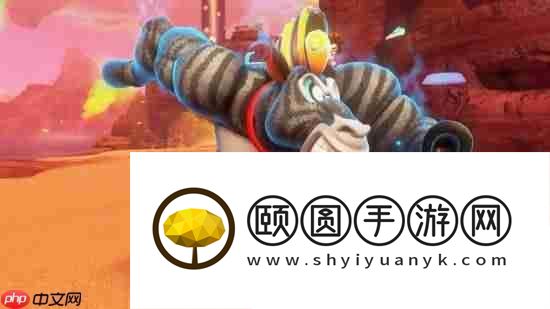 咚奇刚
