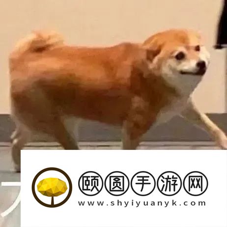 《抖音》大学生新型团建梗的意思介绍
