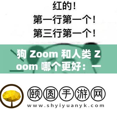 狗 Zoom 和人类 Zoom 哪个更好