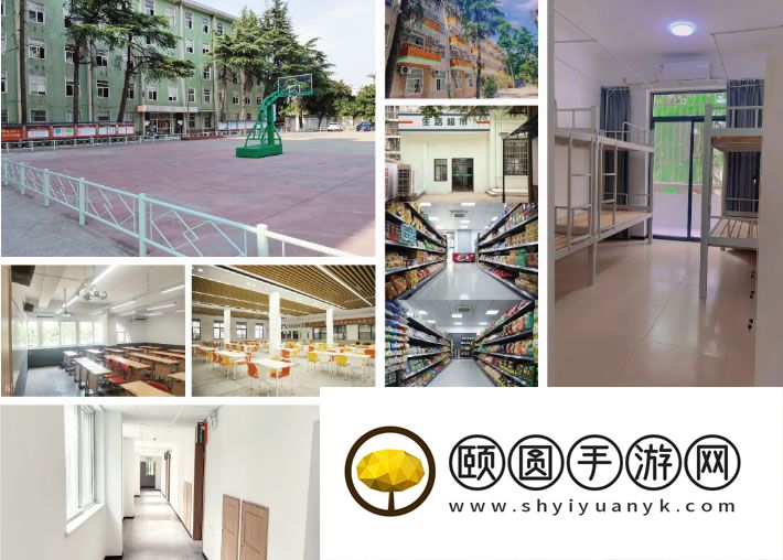 合肥高三艺术生文化课集训有哪些学校靠谱 补课理想之地