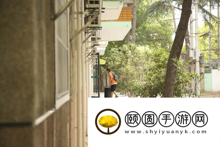 合肥高考文化课艺术生辅导学校十大机构情况汇总一览表