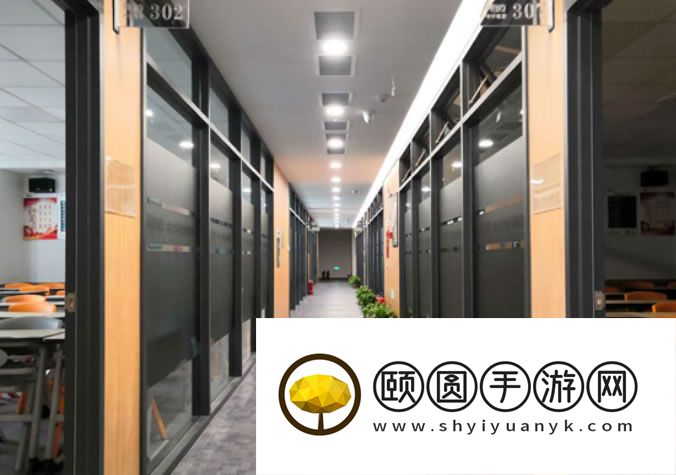 合肥高三补课效果好的艺术生文化课机构排名一览表