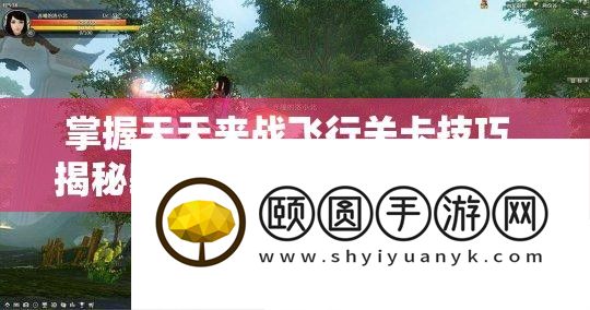 把握每天来战飞翔关卡技能