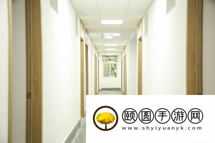 合肥靠谱的艺术生高三文化课机构大盘点 这五家很不错