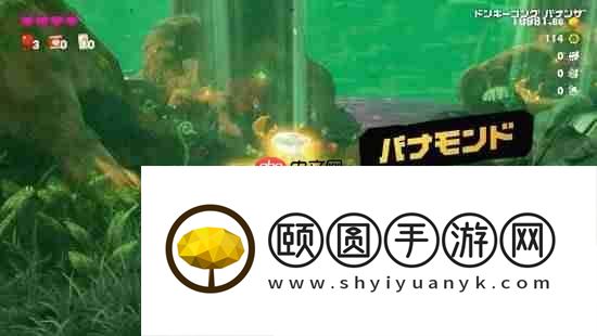 咚奇刚