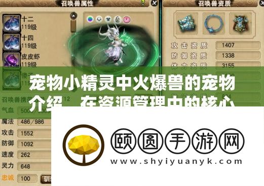 宠物小精灵中火爆兽的宠物分享