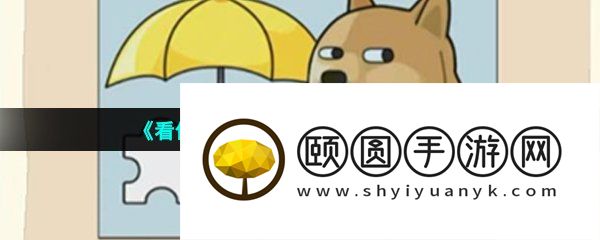 《看你怎么秀》看个直播通关攻略
