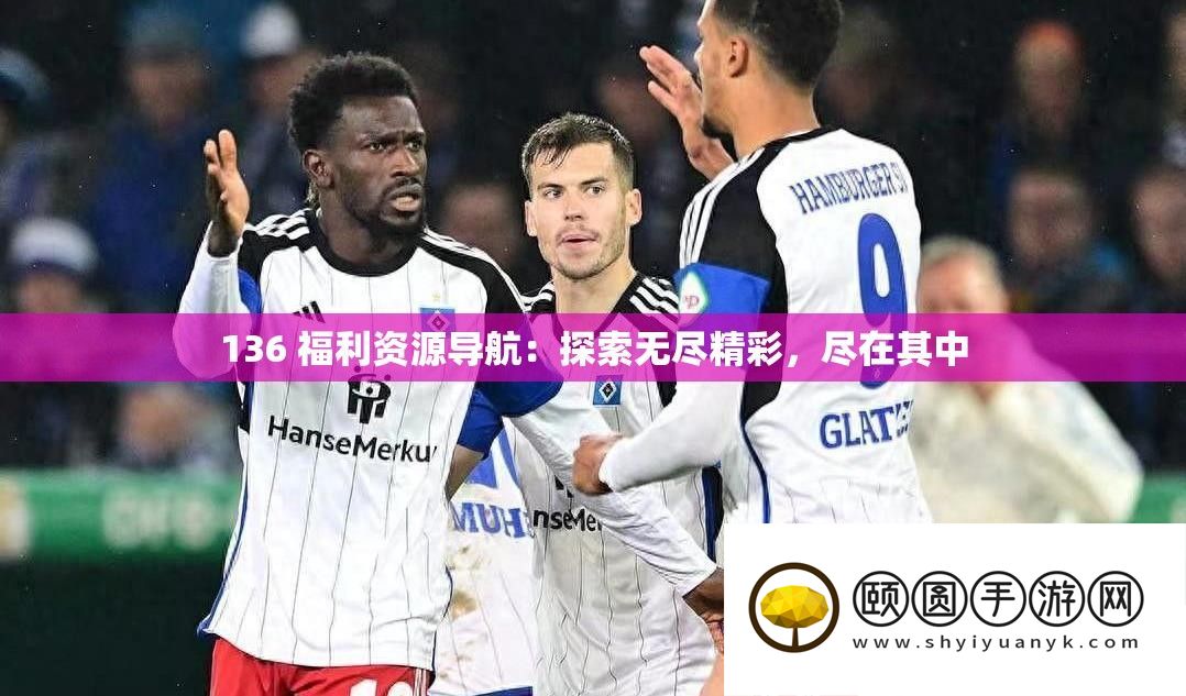 136 福利资本导航