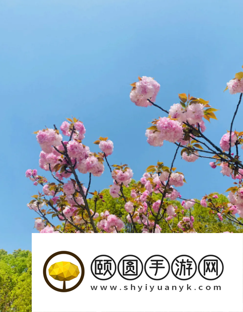 《支付宝》蚂蚁庄园2023年3月11日每日一题答案