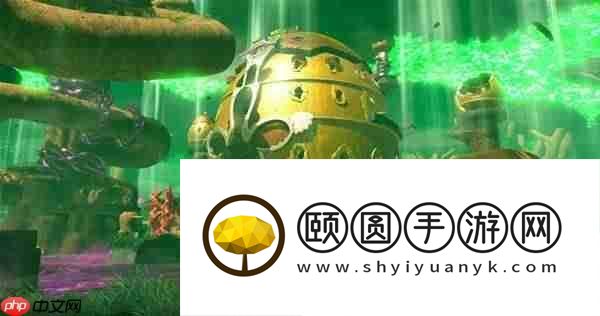 咚奇刚蕉力全开解禁时间