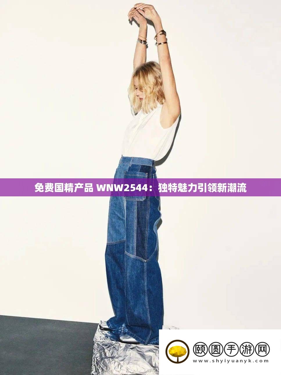 收费国精产物 WNW2544