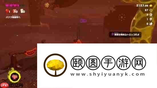 数毛社评咚奇刚