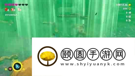 数毛社评咚奇刚