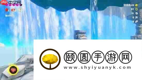 数毛社评咚奇刚