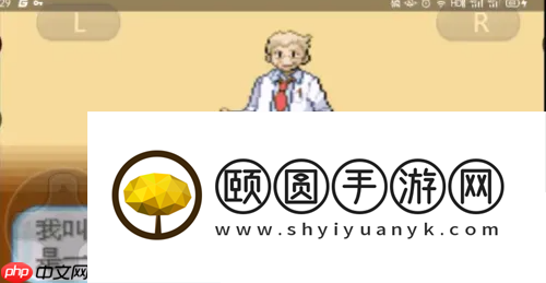 口袋妖怪盖亚第一周目攻略