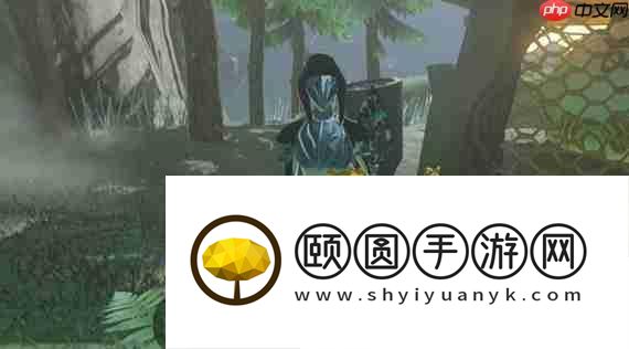 淤泥缠身任务攻略