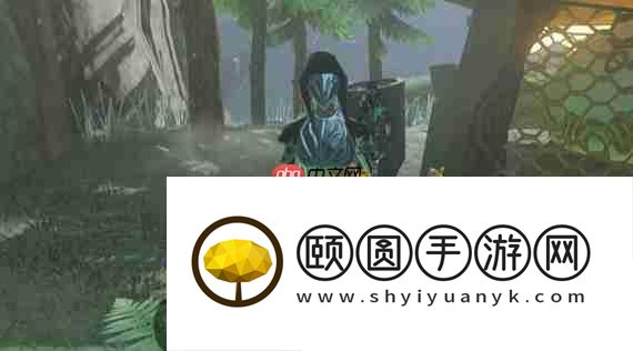 淤泥缠身任务攻略